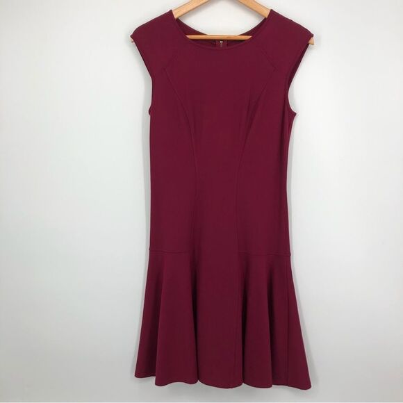 Ann Taylor Fit Flare Cap Sleeve Dress Drop Waist Cranberry Red Size 2 - Picture 1 of 9